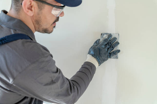  Gold River, CA Drywall & Painting Services Pros